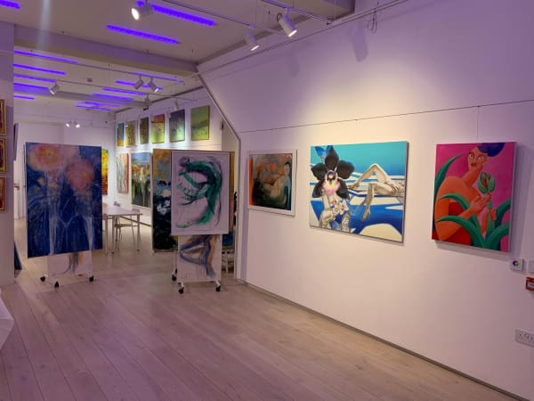 Instalation Thehydegallery2