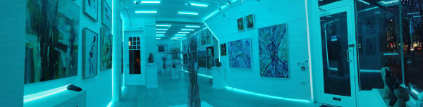 The Hyde Gallery