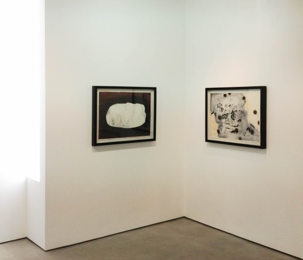 Installation view, Uwe Wittwer: New Works, SMAC Gallery, Cape Town, South Africa, 2012
