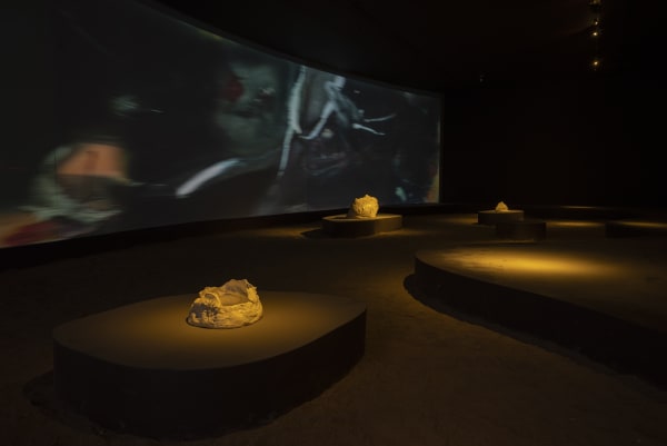 Installation view, Leiko Ikemura: Year of the Usagi, MAZ Museo de Arte Zapopan, Guadalajara, Mexico, 2023
