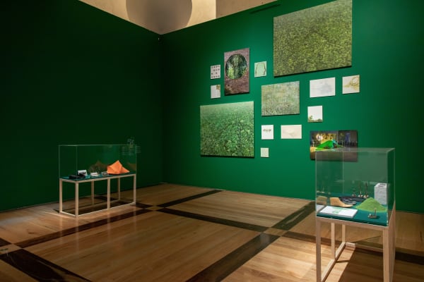 Installation view, Melanie Smith: Farce and Artifice, MARCO Museo de Arte Contemporáneo de Monterrey, Monterrey, Mexico, 2020