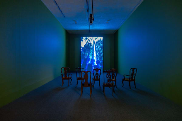 Installation view, Melanie Smith: Farce and Artifice, MARCO Museo de Arte Contemporáneo de Monterrey, Monterrey, Mexico, 2020