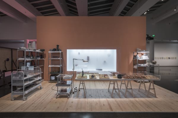Installation view, Melanie Smith: Farce and Artifice, MACBA, Barcelona, Spain, 2018