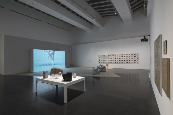 Installation view, Melanie Smith: Farce and Artifice, MACBA, Barcelona, Spain, 2018