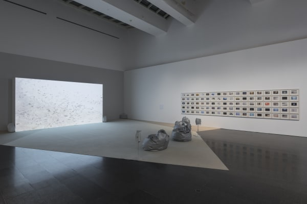 Installation view, Melanie Smith: Farce and Artifice, MACBA, Barcelona, Spain, 2018