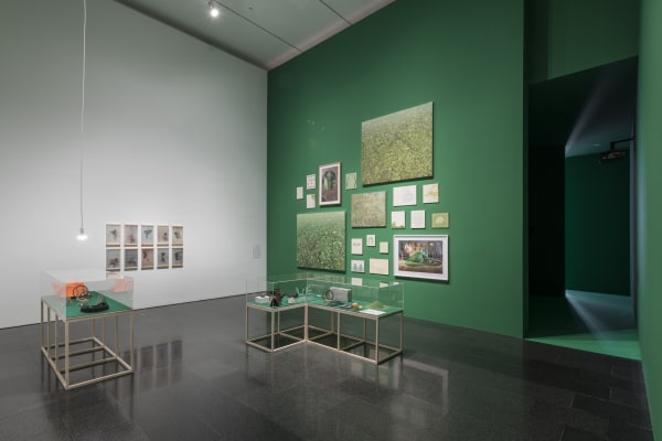Installation view, Melanie Smith: Farce and Artifice, MACBA, Barcelona, Spain, 2018