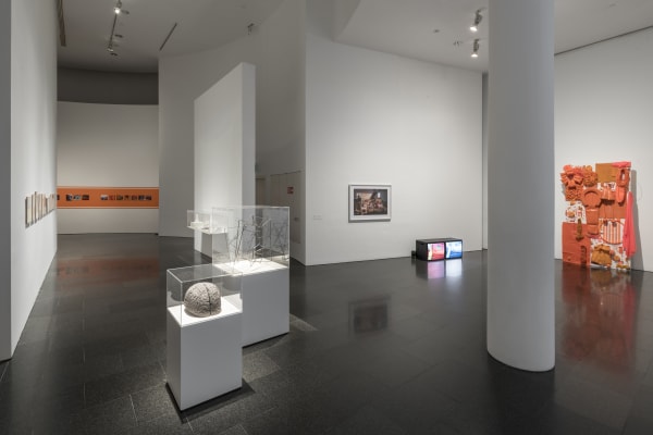 Installation view, Melanie Smith: Farce and Artifice, MACBA, Barcelona, Spain, 2018