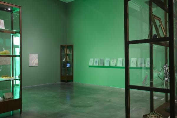Installation view, Melanie Smith: Fordlandia, Milton Keynes Gallery, Milton Keynes, United Kingdom, 2014