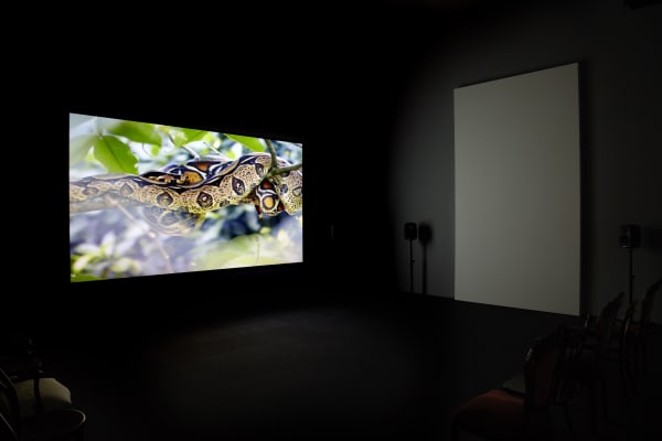 Installation view, Melanie Smith: Fordlandia, Milton Keynes Gallery, Milton Keynes, United Kingdom, 2014