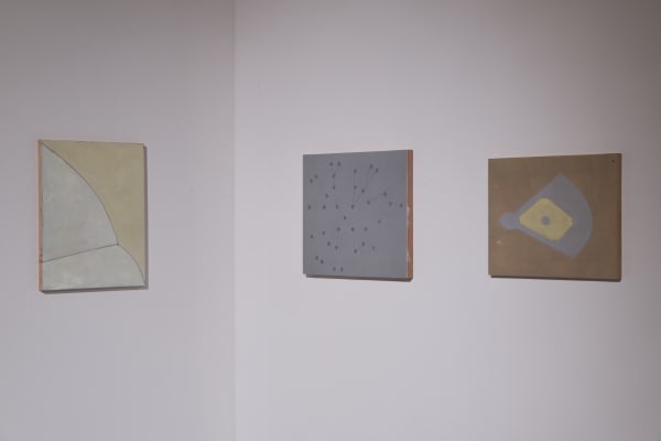 Installation view, Melanie Smith: Crocodiles and Elevators, CCA Contemporary Art Centre, Vilnius, Lithuania, 2014