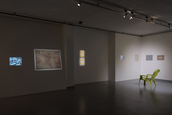 Installation view, Melanie Smith: Crocodiles and Elevators, CCA Contemporary Art Centre, Vilnius, Lithuania, 2014