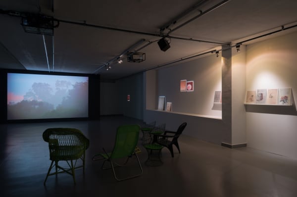 Installation view, Melanie Smith: Crocodiles and Elevators, CCA Contemporary Art Centre, Vilnius, Lithuania, 2014