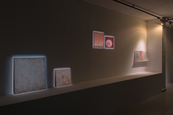 Installation view, Melanie Smith: Crocodiles and Elevators, CCA Contemporary Art Centre, Vilnius, Lithuania, 2014