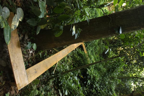 Installation view, João Modé: Para o silêncio das plantas, Cavalariças do Parque Lage, Rio de Janeiro, Brazil, 2011-2012