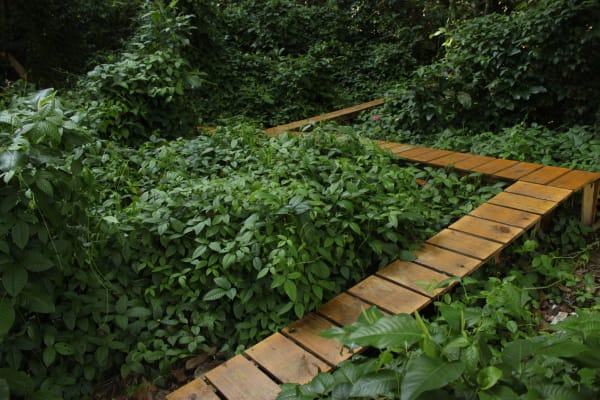 Installation view, João Modé: Para o silêncio das plantas, Cavalariças do Parque Lage, Rio de Janeiro, Brazil, 2011-2012