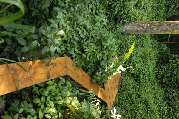 Installation view, João Modé: Para o silêncio das plantas, Cavalariças do Parque Lage, Rio de Janeiro, Brazil, 2011-2012