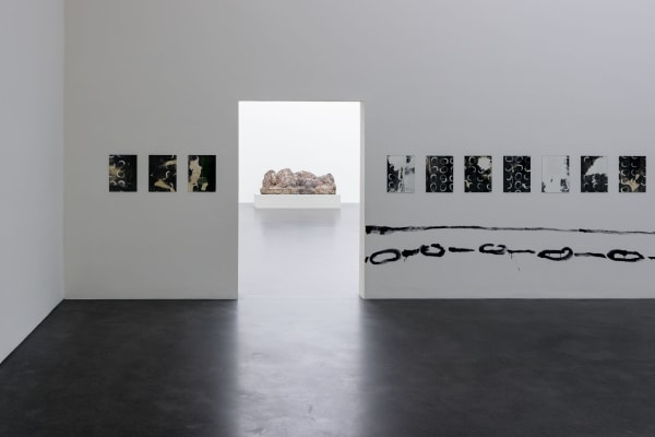 Installation view, WARUM ICH MICH IN EINE NACHTIGALL VERWANDELT HABE: Fabian Marti, Kunstmuseum Luzern, Luzern, Switzerland, 2016