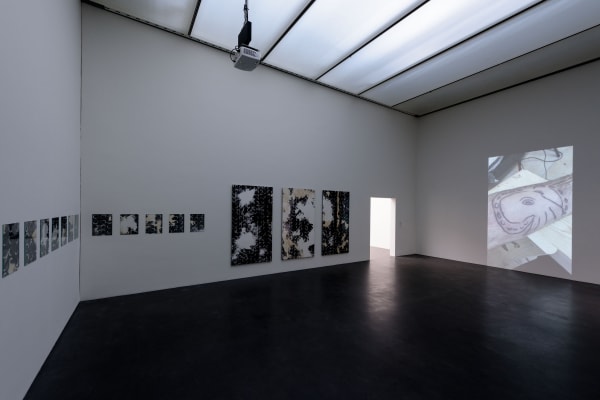 Installation view, WARUM ICH MICH IN EINE NACHTIGALL VERWANDELT HABE: Fabian Marti, Kunstmuseum Luzern, Luzern, Switzerland, 2016