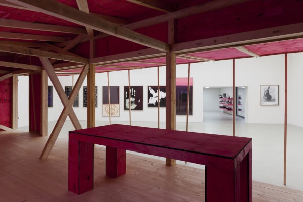 Installation view, Fabian Marti: MARTI COLLECTION, Centre Pasquart, Biel, Switzerland, 2013