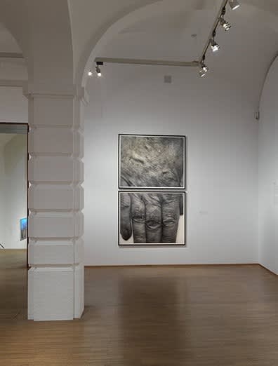 Installation view, John Coplans: The Body as Protest, Albertina, Vienna, Austria, 2012