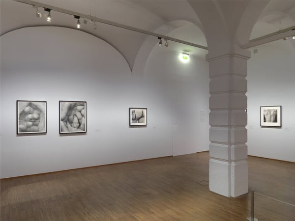 Installation view, John Coplans: The Body as Protest, Albertina, Vienna, Austria, 2012