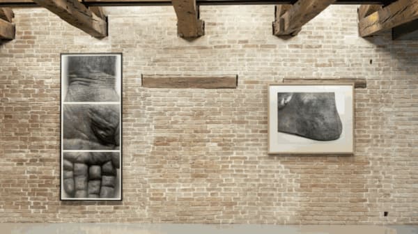Installation view, Dancing with Myself: John Coplans, Palazzo Grassi, Venice, Italy, 2018