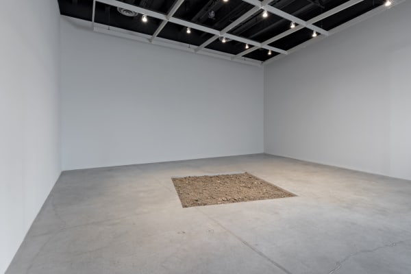Installation view, Tercerunquinto: Mine, The Power Plant, Toronto, Canada, 2015