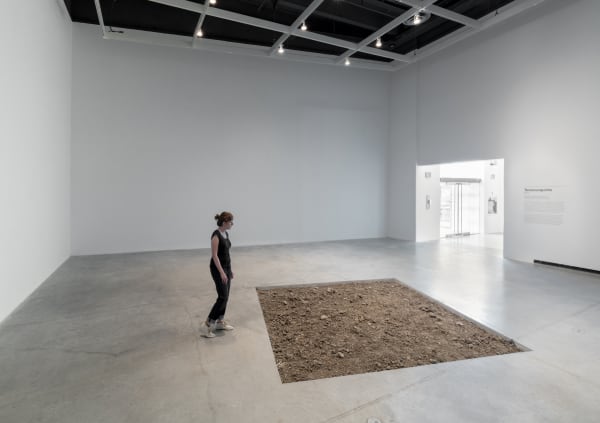 Installation view, Tercerunquinto: Mine, The Power Plant, Toronto, Canada, 2015