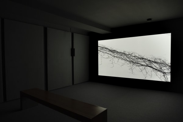 Installation view, Willie Doherty: WHERE, Ulster Museum, Belfast, Northern Ireland, 2021