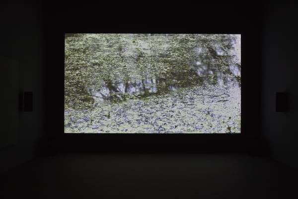 Installation view, Documenta 13: Willie Doherty, Museum Fridericianum, Kassel, Germany, 2012