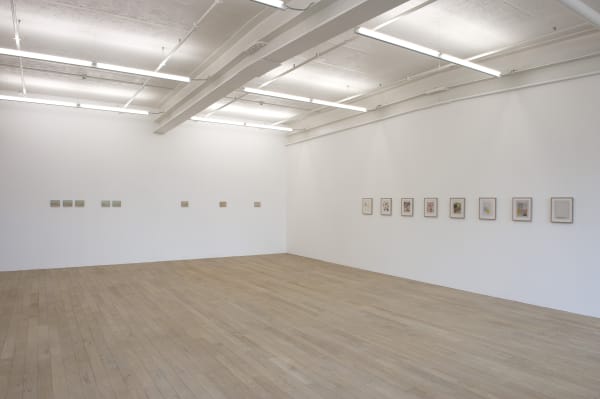Installation view, Three Statements in Painting: Francis Alÿs, Galerie Peter Kilchmann, Zurich, Switzerland, 2011