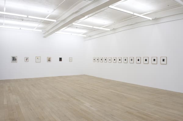 Installation view, Hernan Bas: Perinnial affairs, Galerie Peter Kilchmann, Zurich, Switzerland, 2011, Photo: Sebastian Schaub