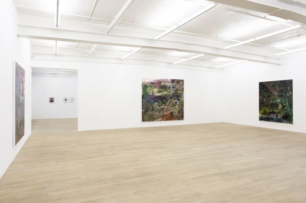 Installation view, Hernan Bas: Perinnial affairs, Galerie Peter Kilchmann, Zurich, Switzerland, 2011, Photo: Sebastian Schaub