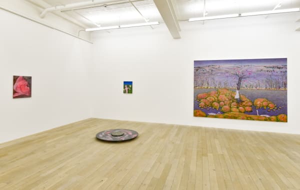 Installation view, Andriu Delpazes: Fluoresce, Galerie Peter Kilchmann, Zurich, Switzerland, 2020, Photo: Sebastian Schaub