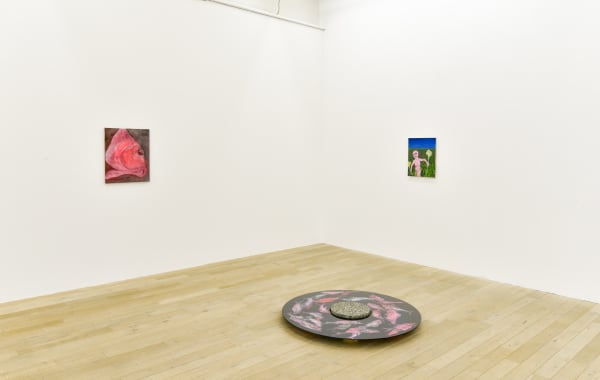 Installation view, Andriu Delpazes: Fluoresce, Galerie Peter Kilchmann, Zurich, Switzerland, 2020, Photo: Sebastian Schaub