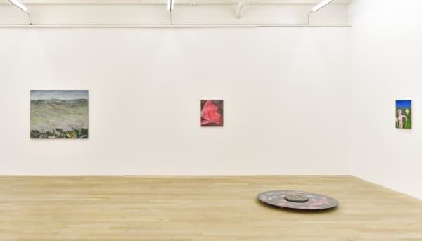 Installation view, Andriu Delpazes: Fluoresce, Galerie Peter Kilchmann, Zurich, Switzerland, 2020, Photo: Sebastian Schaub