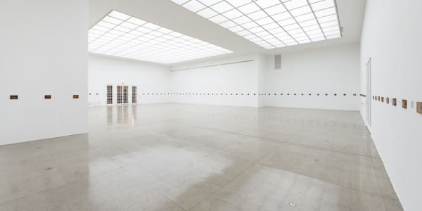Francis Alÿs, Le temps du sommeil, Ausstellungsansicht, Secession, 2016 Photo: Jorit Aust