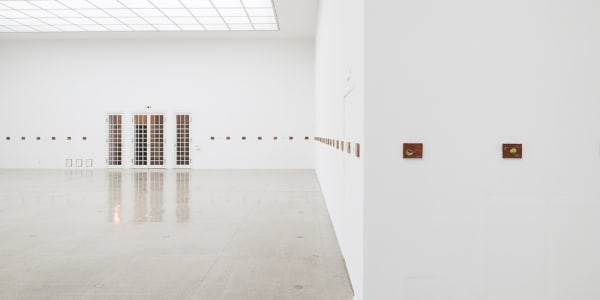 Francis Alÿs, Le temps du sommeil, Ausstellungsansicht, Secession, 2016 Photo: Jorit Aust