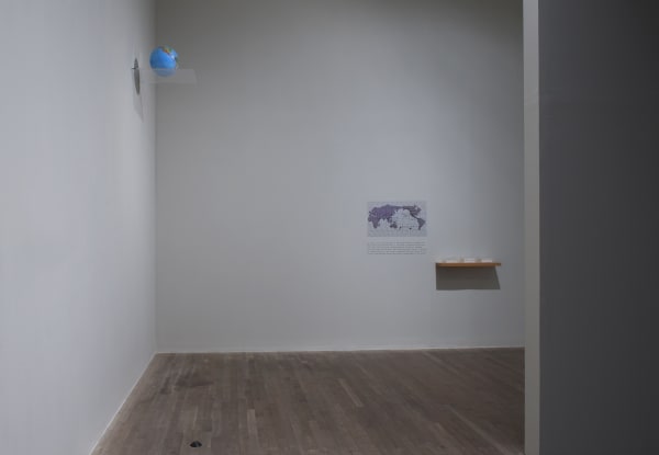 Francis Alÿs: A Story of Deception, Tate Modern, London, June 15 – Sept. 5 2010 Cur. Mark Godfrey and Kerryn Greenberg