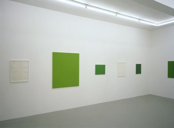 Installation view, Bruno Jakob: Philosophy Escaped (Invisible Painting), Galerie Peter Kilchmann, Zurich, Switzerland, 1999