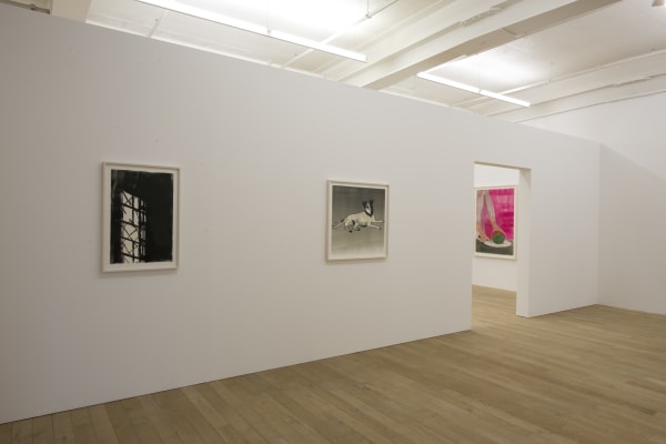 Installation view, Zilla Leutenegger: Casa Blanca, Galerie Peter Kilchmann, Zurich, Switzerland, 2017, Photo: Sebastian Schaub