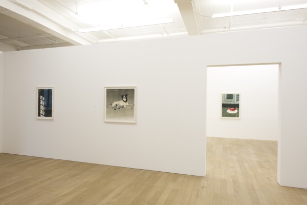 Installation view, Zilla Leutenegger: Casa Blanca, Galerie Peter Kilchmann, Zurich, Switzerland, 2017, Photo: Sebastian Schaub