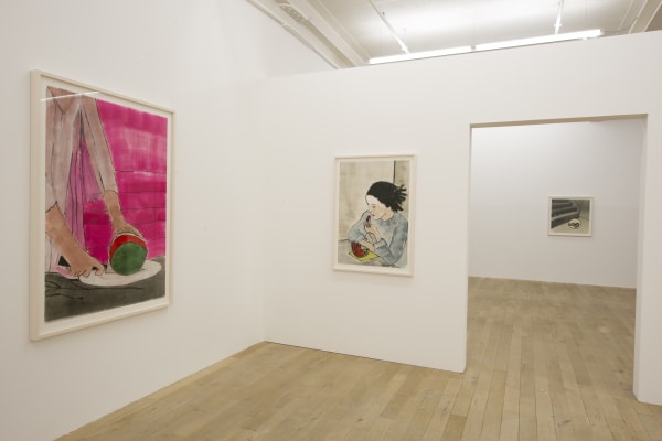 Installation view, Zilla Leutenegger: Casa Blanca, Galerie Peter Kilchmann, Zurich, Switzerland, 2017, Photo: Sebastian Schaub