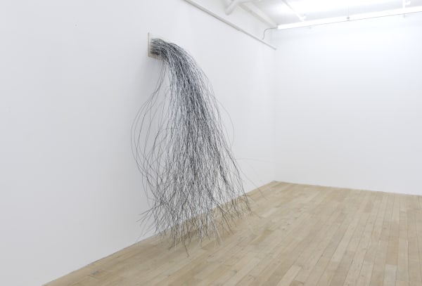 Installation view, Jorge Macchi: Mikrokosmos, Galerie Peter Kilchmann, Zurich, Switzerland, 2017