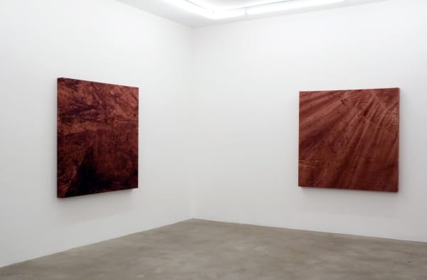 Installation view, Teresa Margolles: Los Herederos - Die Erben, Galerie Peter Kilchmann, Zurich, Switzerland, 2009