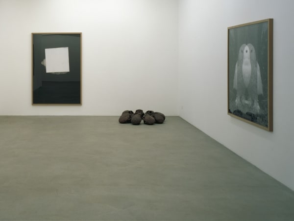 Installation view, Fabian Marti: Ape, Mom, I, Galerie Peter Kilchmann, Zurich, Switzerland, 2007