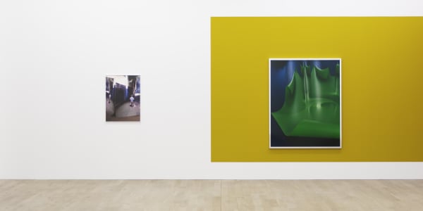 Installation view, Shirana Shahbazi, Galerie Peter Kilchmann, Zurich, Switzerland, 2017