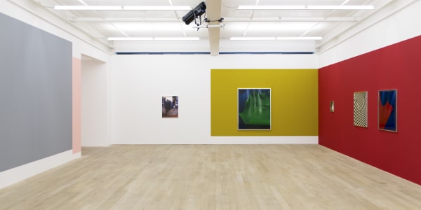 Installation view, Shirana Shahbazi, Galerie Peter Kilchmann, Zurich, Switzerland, 2017