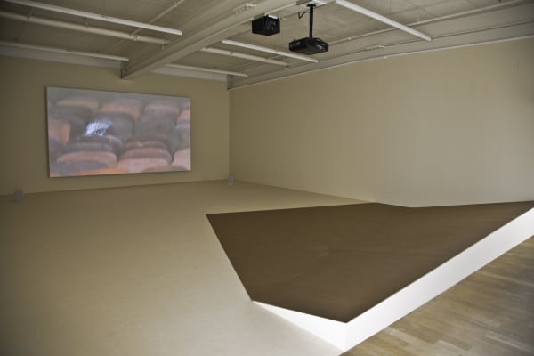 Installation view, Melanie Smith: María Elena, Galerie Peter Kilchmann, Zurich, Switzerland, 2018, Photo: Sebastian Schaub