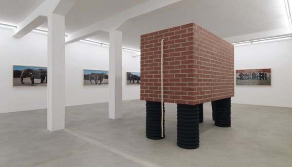 Installation view, Javier Telléz: Der Brief über die Blinden zum Gebrauch für die Sehenden, Galerie Peter Kilchmann, Zurich, Switzerland, 2008